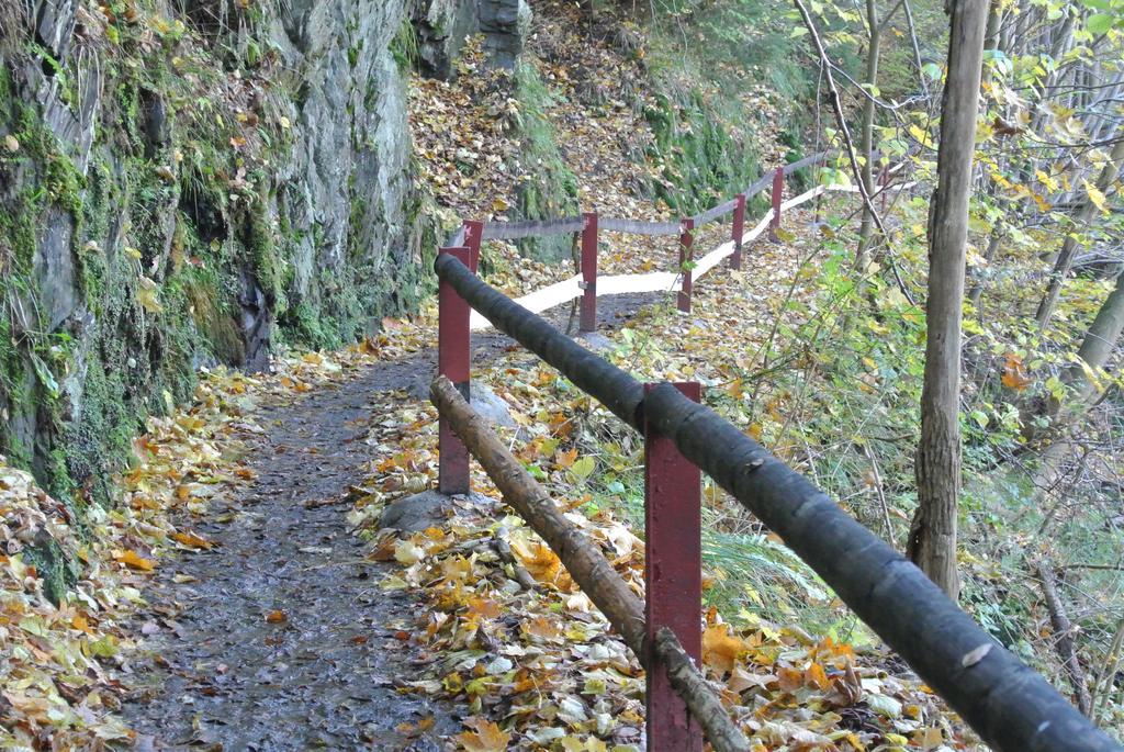 Ferienwohnungen Treseburg Zur Bodehexe Thale Exterior foto